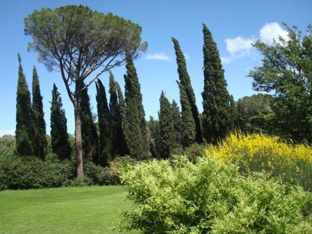 Maison d'hôtes Al Giardino Degli Etruschi à Chiusi Chambre photo